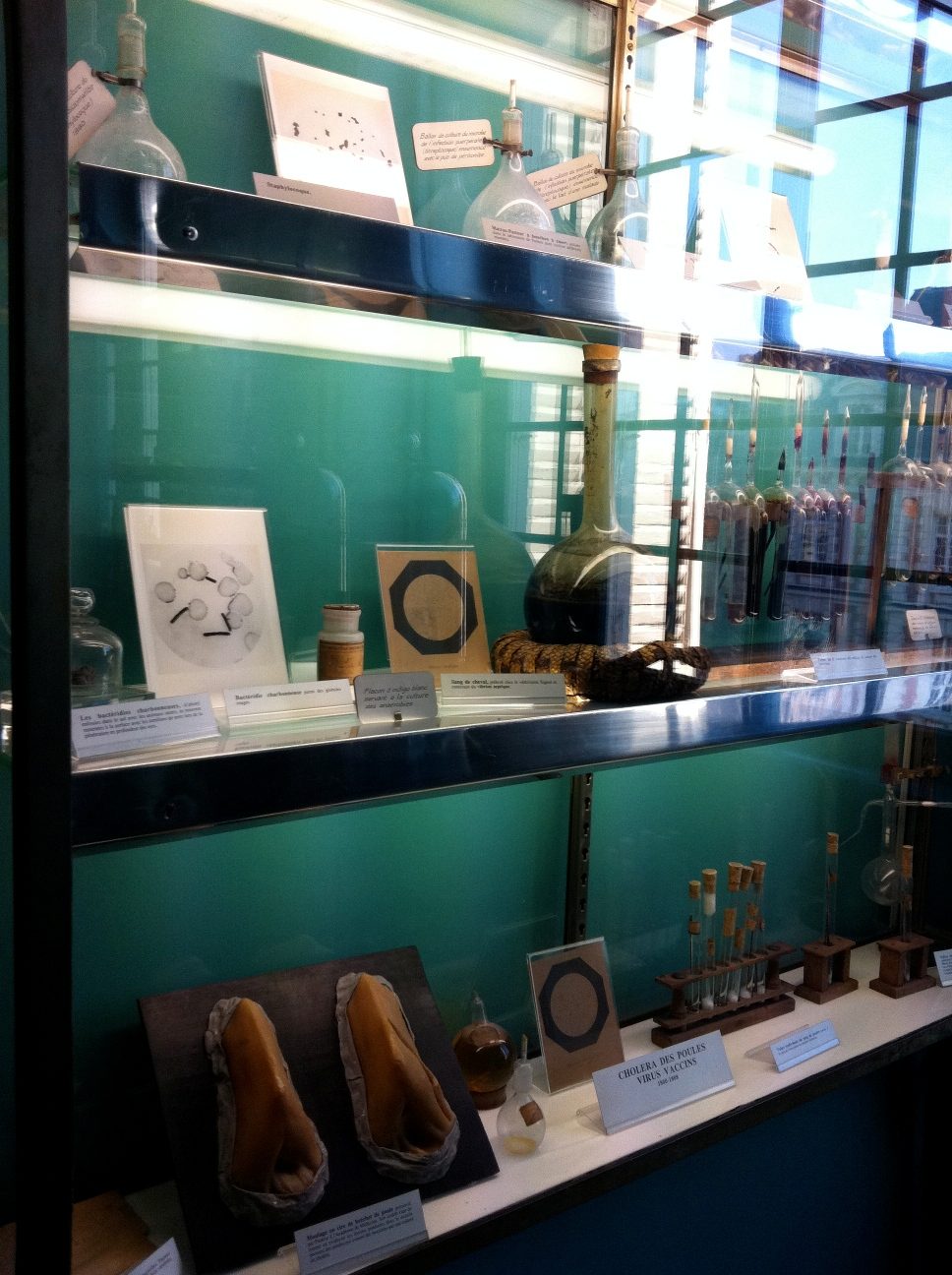 Pasteur's home-museum, Institut Pasteur, Paris by Rosa Longo (6).jpg